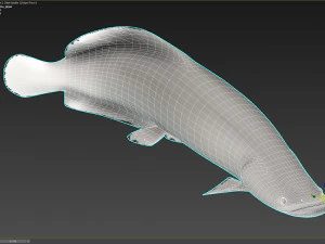 Fish Arapaima Gigas Low-poly 3D Model