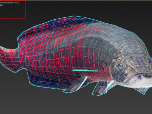 Fish Arapaima Gigas Low-poly 3D Model
