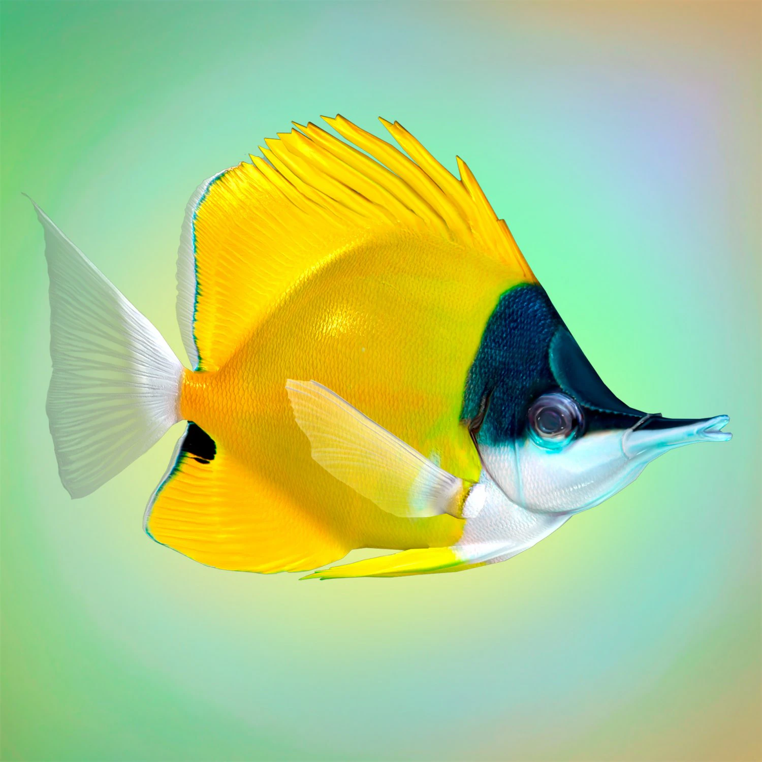 Fish Forcipiger Flavissimus Low-poly 3D Model .c4d .max .obj .3ds .fbx .stl .blend 