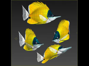 Fish Forcipiger Flavissimus Low-poly 3D Model