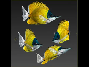 Fish Forcipiger Flavissimus Low-poly 3D Model