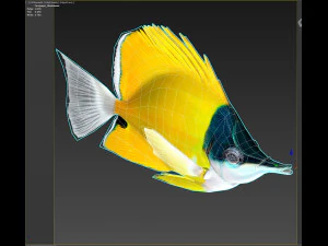 Fish Forcipiger Flavissimus Low-poly 3D Model