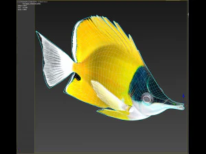Fish Forcipiger Flavissimus Low-poly 3D Model