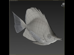 Fish Forcipiger Flavissimus Low-poly Modelo 3D