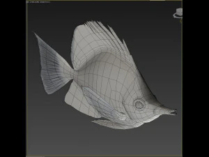 Fish Forcipiger Flavissimus Low-poly 3D Model