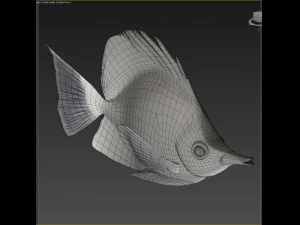 Fish Forcipiger Flavissimus Low-poly 3D Model