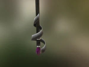 mage staff 3D Model