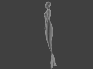 base mermaid Model 3D