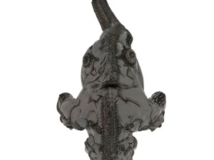 creature pbr 3D 模型