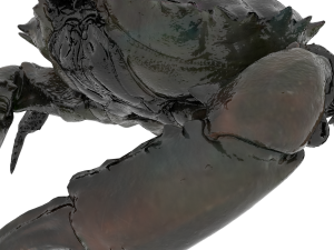 crab pbr 3D Модель
