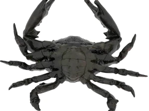 crab pbr 3D Model