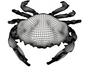crab pbr 3D Модель