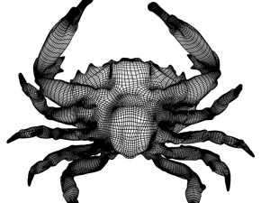 crab pbr 3D Model