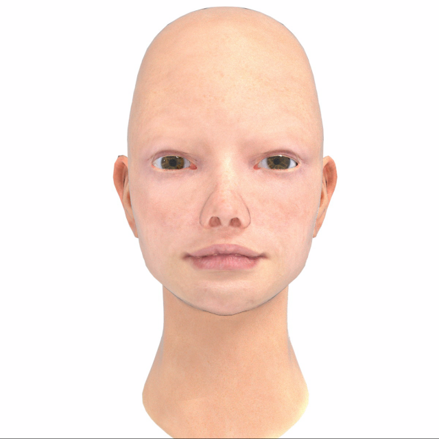 base head photoreal 3D मॉडल .c4d .max .obj .3ds .fbx .stl .blend 
