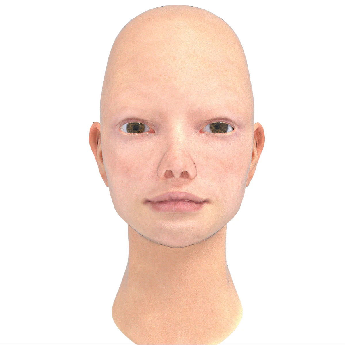 base head photoreal 3D Model .c4d .max .obj .3ds .fbx .stl .blend 