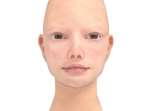 base head photoreal 3D Model