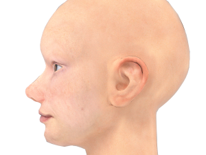 base head photoreal 3D मॉडल