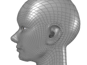 base head photoreal 3D मॉडल
