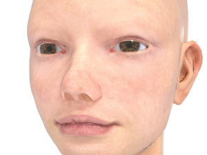 base head photoreal 3D मॉडल