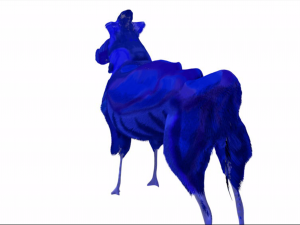 creature 3D Model