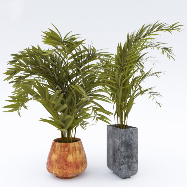 plantsinpot Model 3D .c4d .max .obj .3ds .fbx .stl .blend 