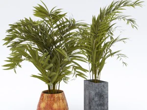 planta em pote Modelo 3D