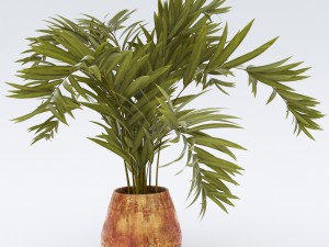 plantsinpot Model 3D