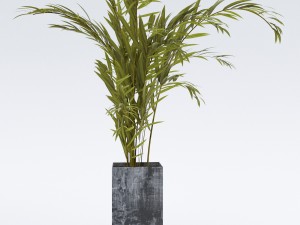 plantsinpot Model 3D