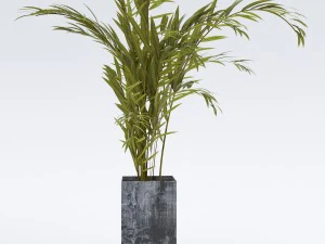 plantsinpot 3D Model
