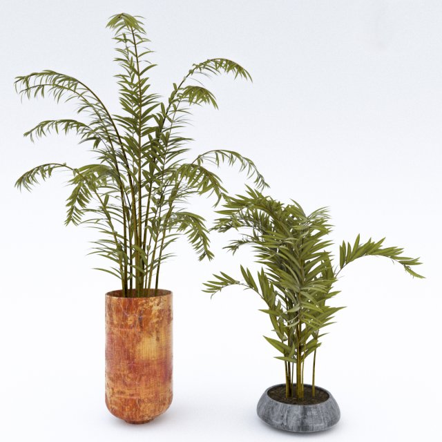 treeplant2 3D Модель .c4d .max .obj .3ds .fbx .stl .blend 