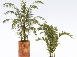 treeplant2 3D 모델