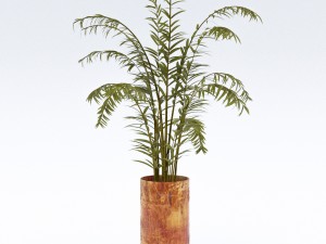 treeplant2 3D Модель
