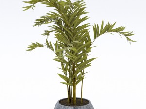 treeplant2 3D Модель