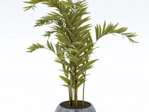 treeplant2 3D Model