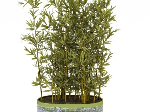 treeplant3 Modèle 3D