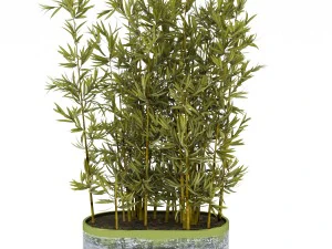 treeplant3 3D Model