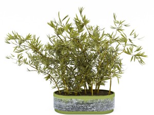 treeplant3 Modèle 3D