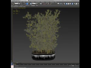 treeplant3 3D Model