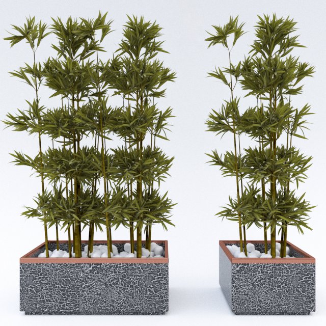 plantsinpots 2 3D Model .c4d .max .obj .3ds .fbx .stl .blend 