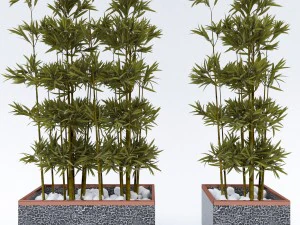 plantsinpots 2 3D Model