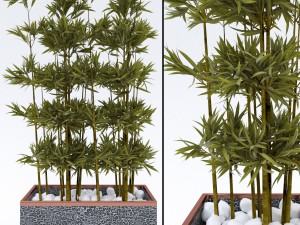 plantsinpots 2 3D Model