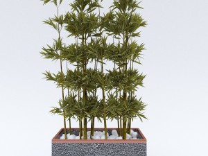 plantsinpots 2 3D Model