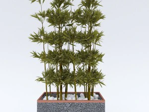 plantsinpots 2 3D Model