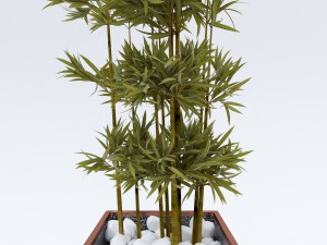 plantsinpots 2 3D Model