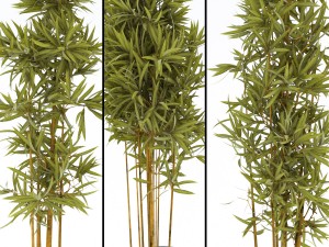 plants in pots 3 3D 模型