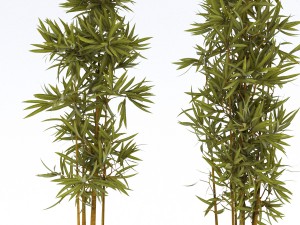 plants in pots 3 3D 模型