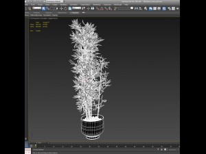 plants in pots 3 3D 模型