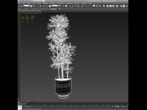 plants in pots 3 3D 模型