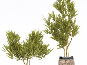 flower pot 2 3D Model