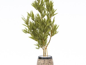 flower pot 2 Model 3D